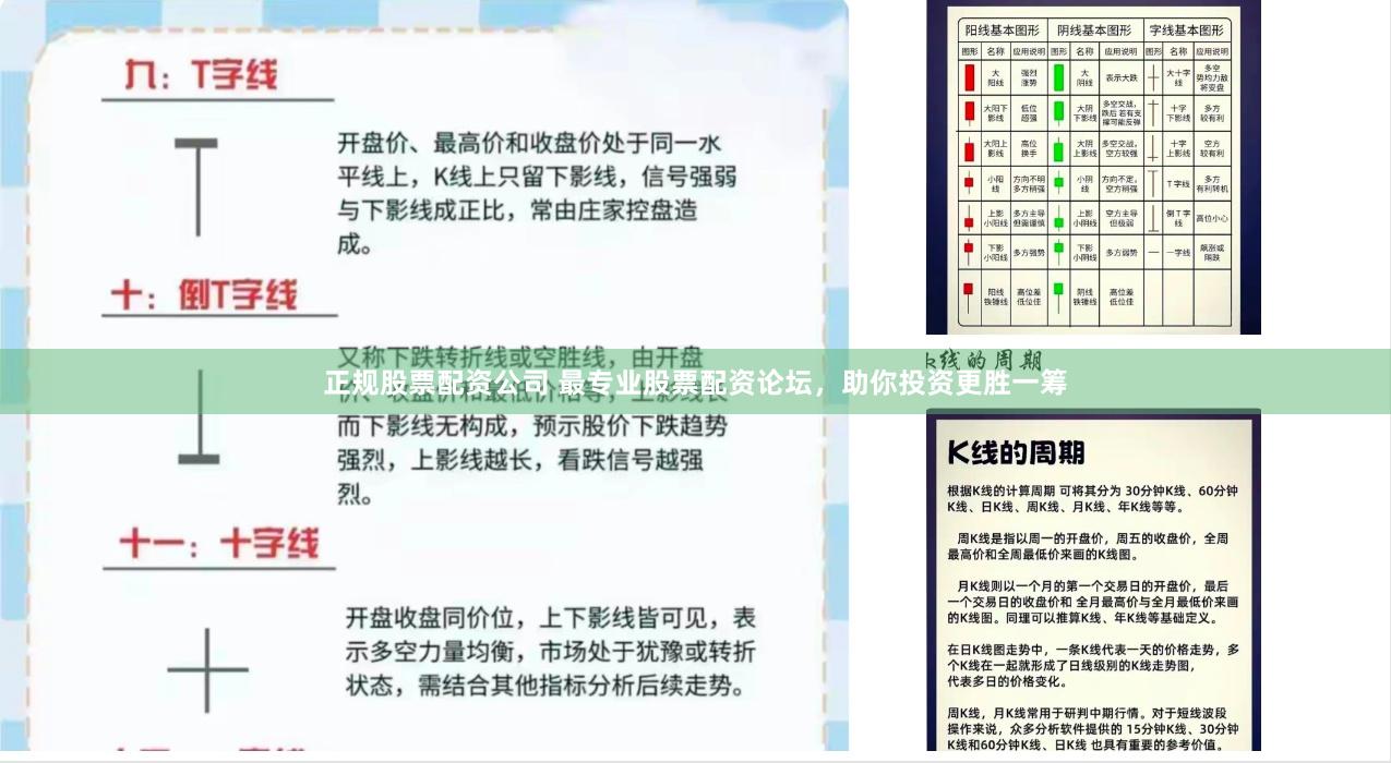 正规股票配资公司 最专业股票配资论坛，助你投资更胜一筹