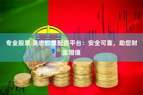 专业股票 吴忠股票配资平台：安全可靠，助您财富增值